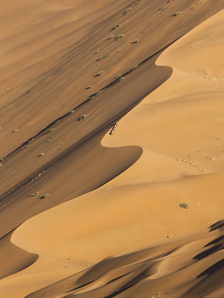 THE LONG AND  WINDING ROAD