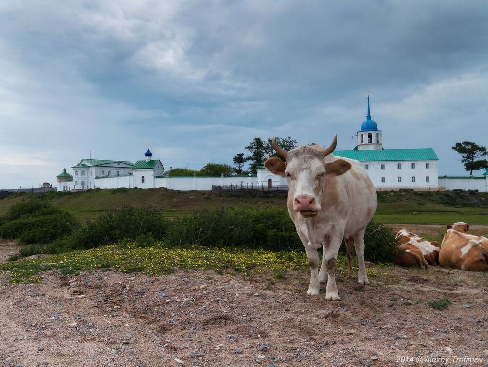 "... чо надо, турыст..."