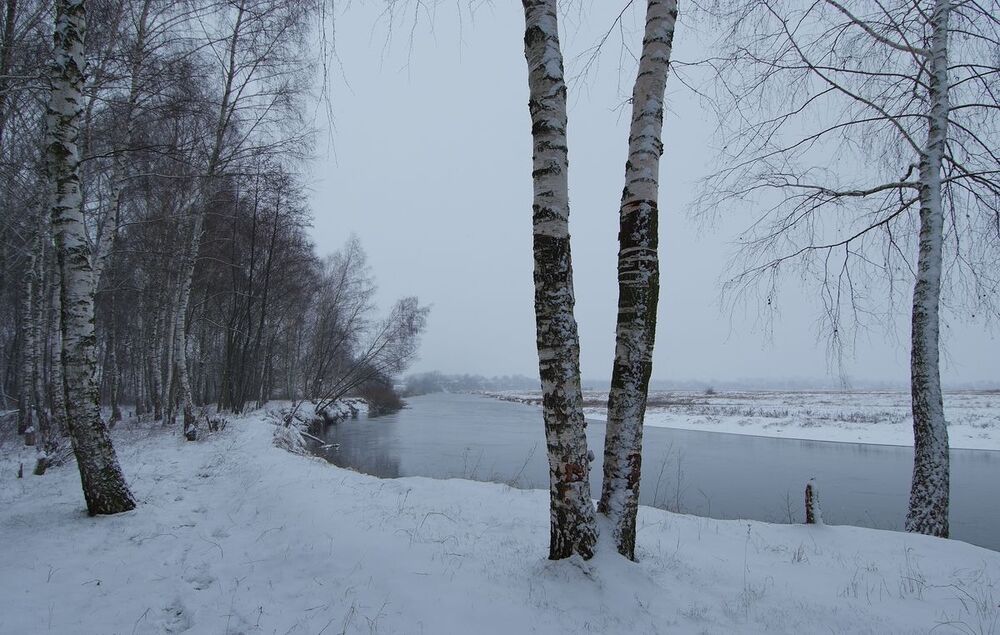 первое утро настоящей зимы...