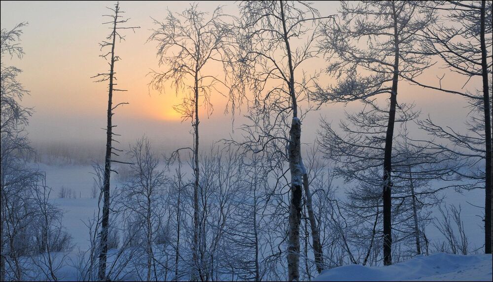 -47C