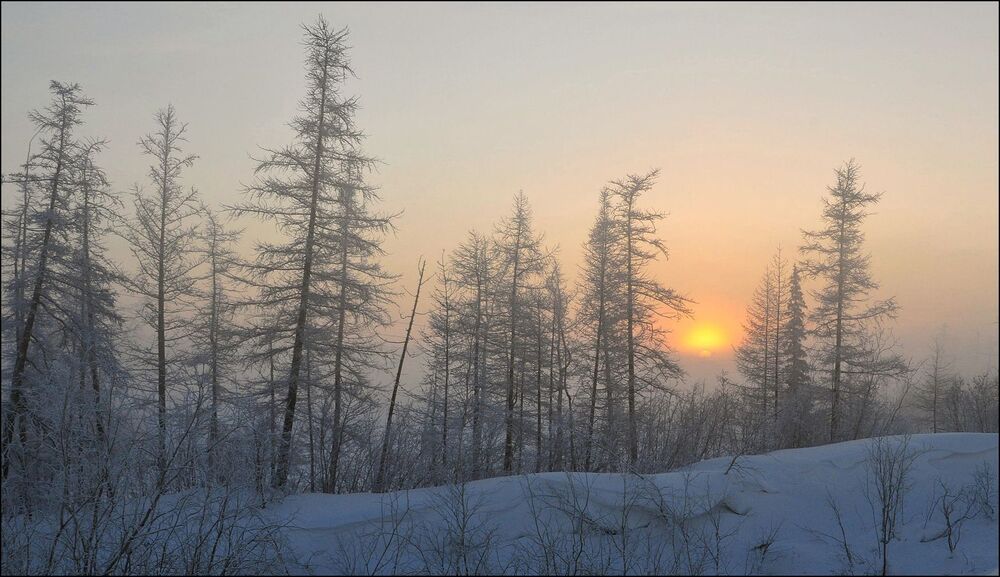 -47C