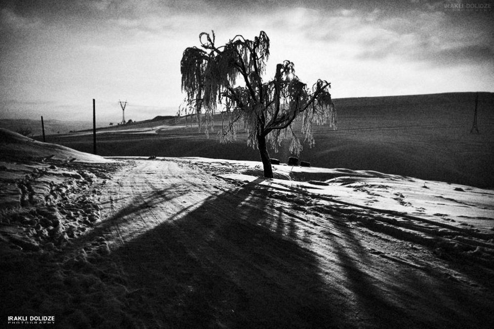 winter 2014