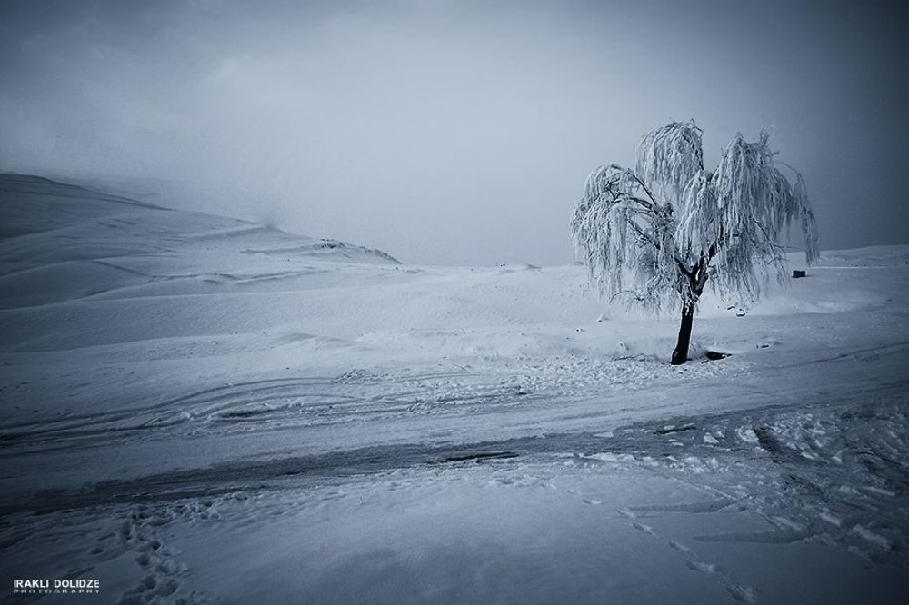 winter 2014