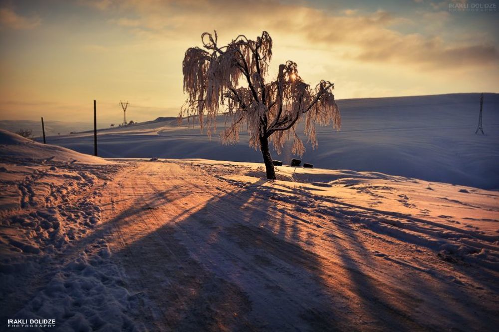 winter 2014