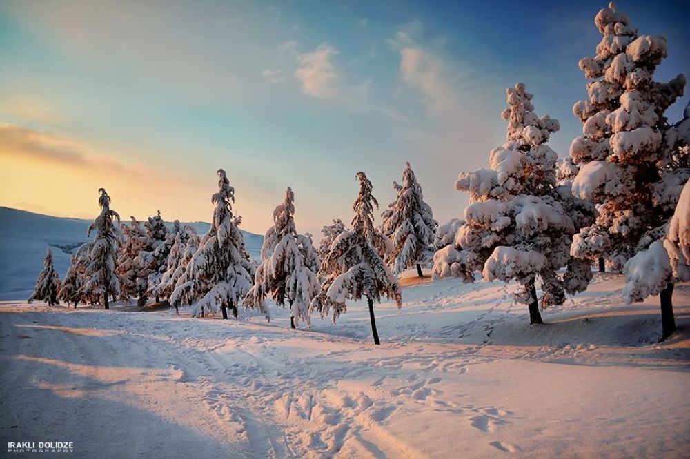winter 2014