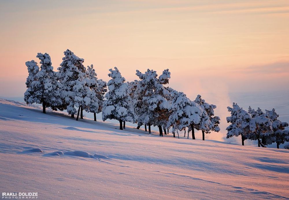 winter 2014