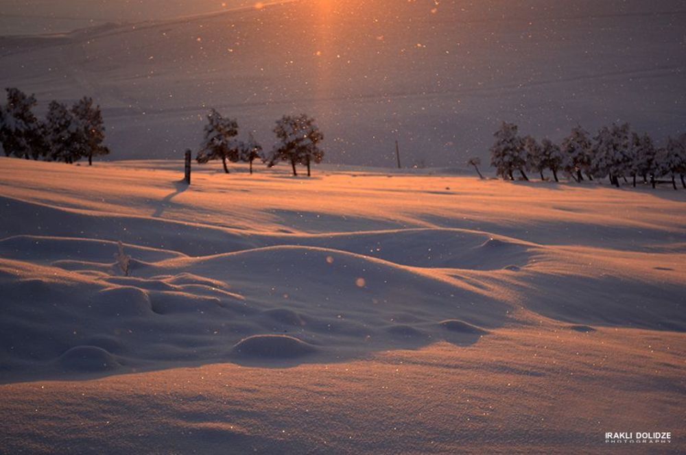 winter 2014