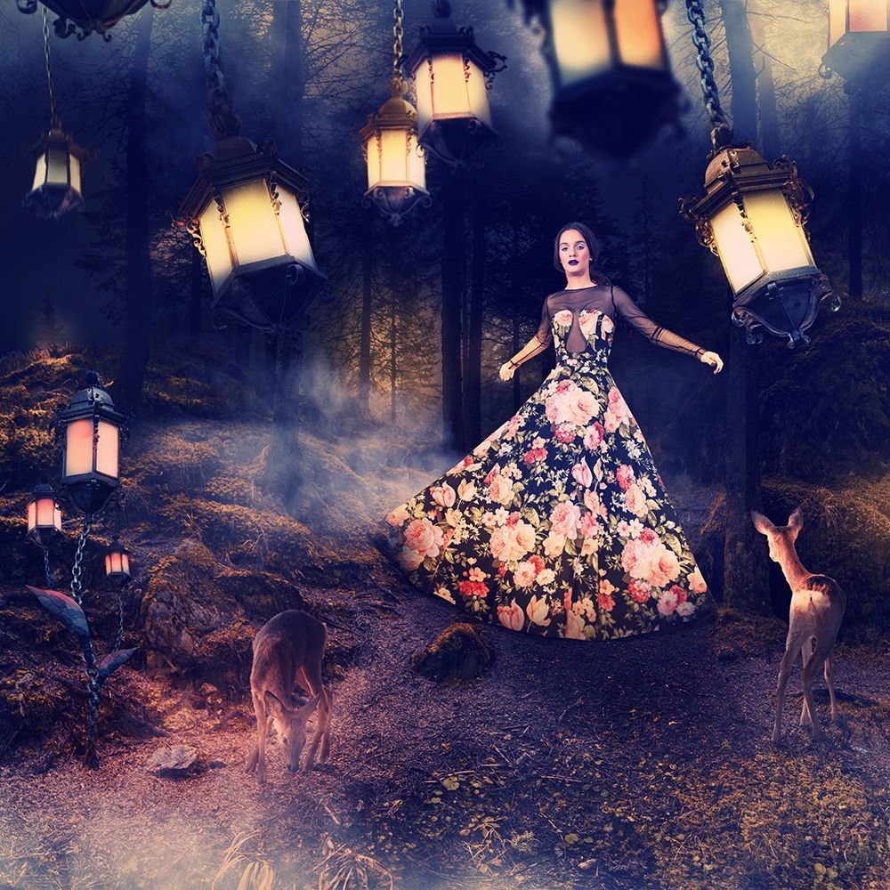 Forest light