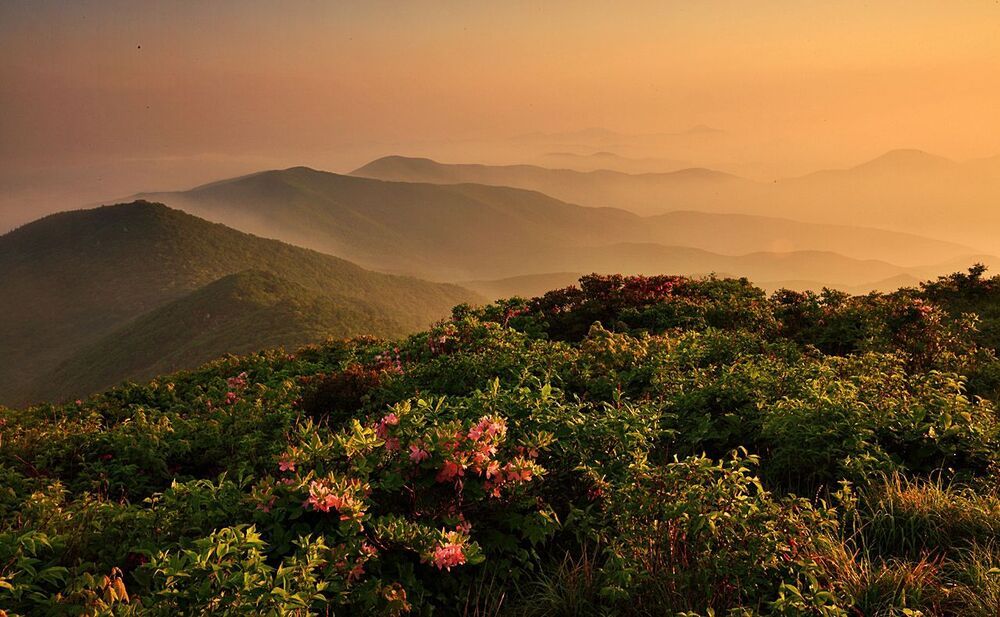 morning of the Hambaek Mountain