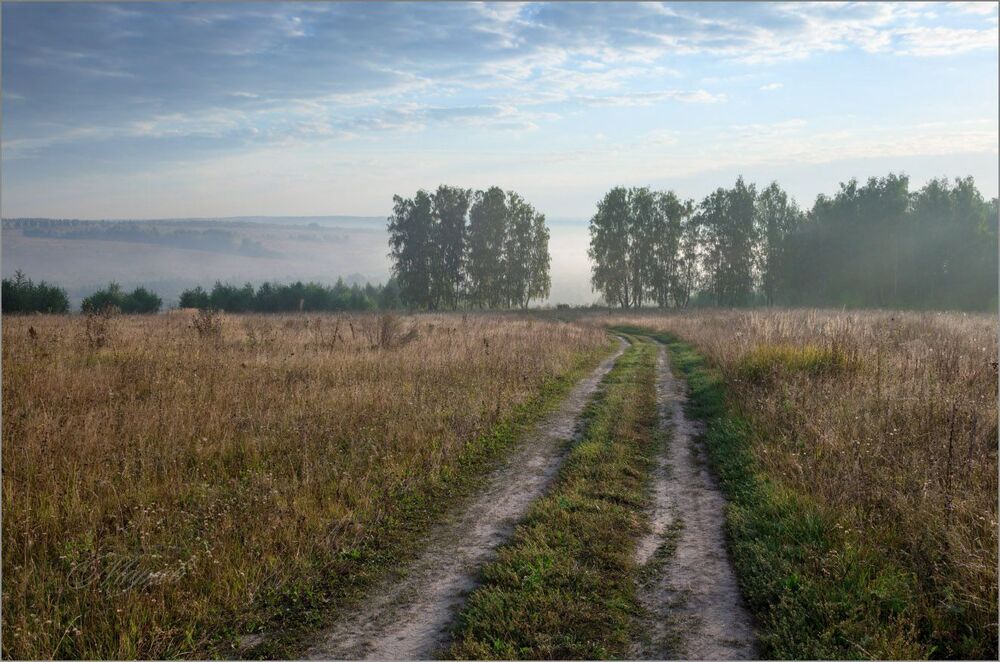 Пробилось солнце