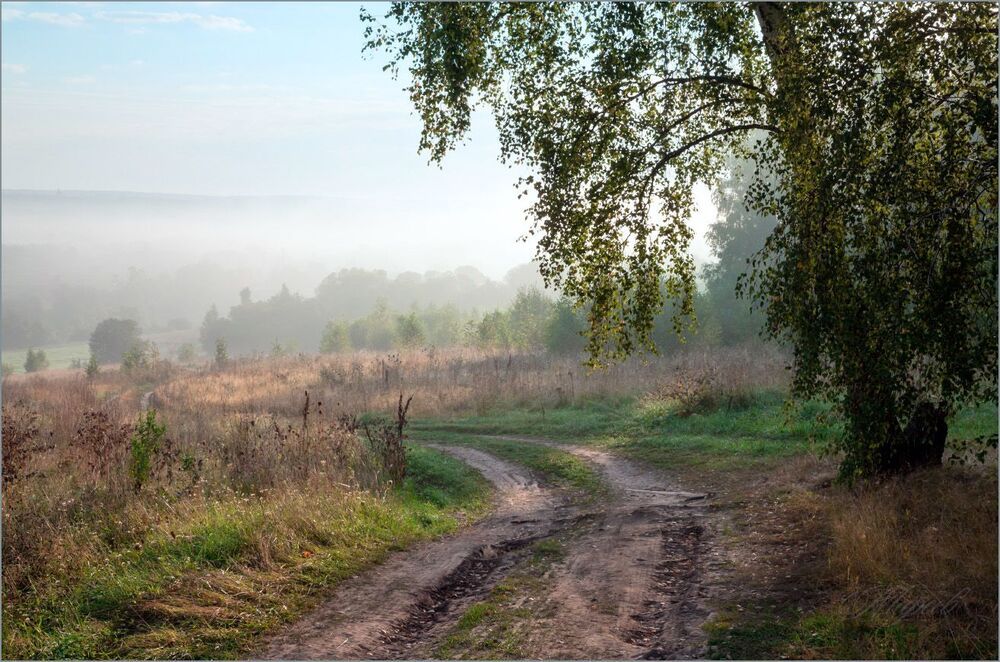 Дорогой к реке