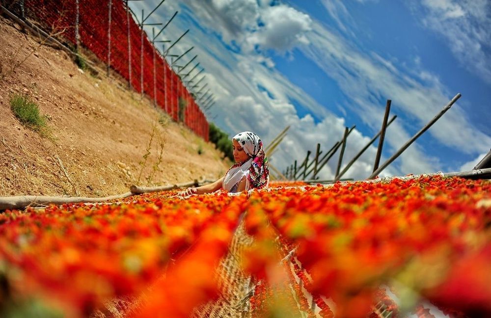 gaziantep / t&uuml;rkiye