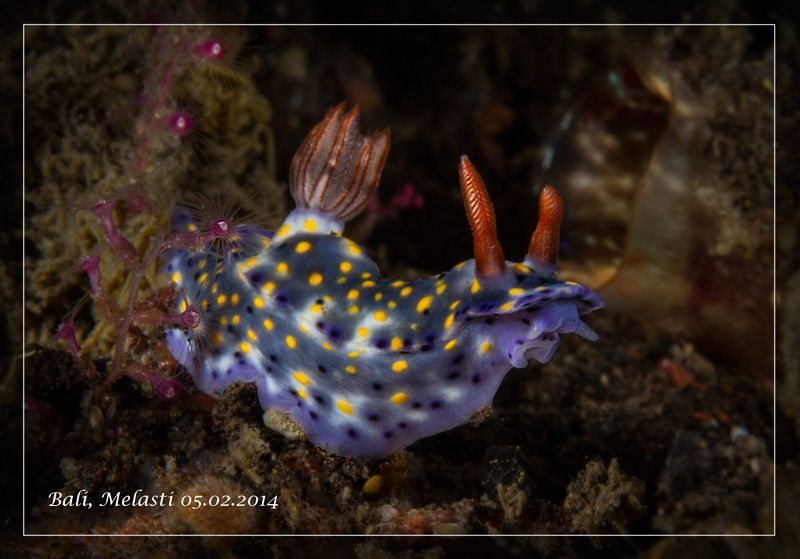Балийские морские зарисовки