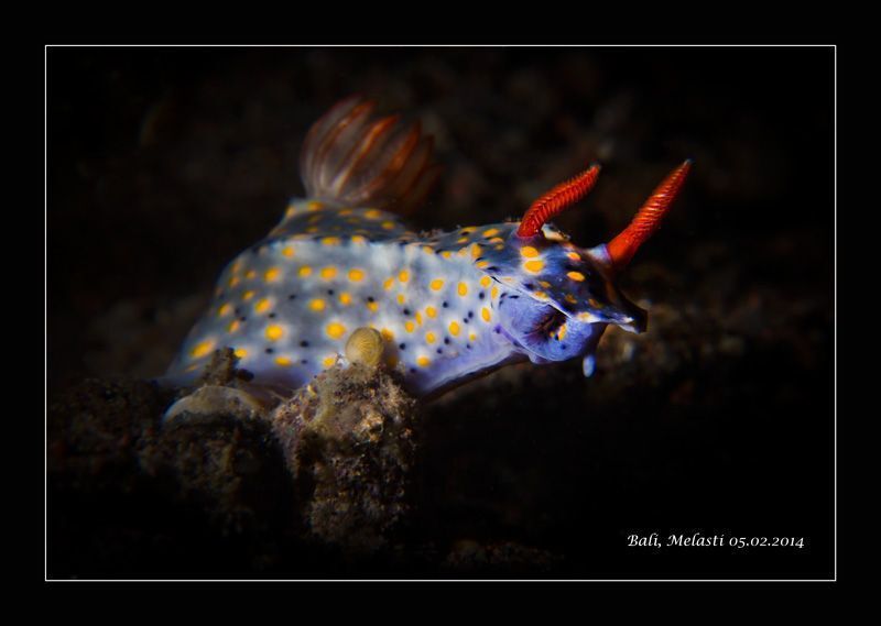 Балийские морские зарисовки