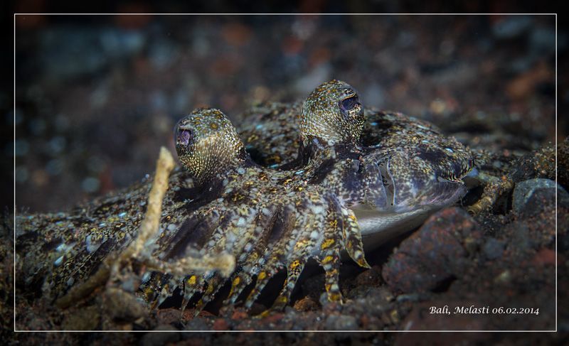 Балийские морские зарисовки
