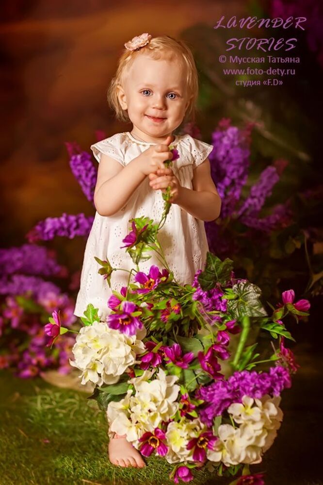 Lavender Stories