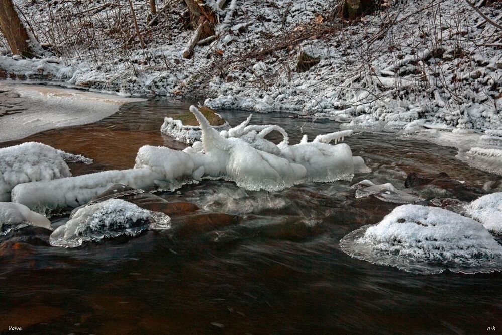 winter life