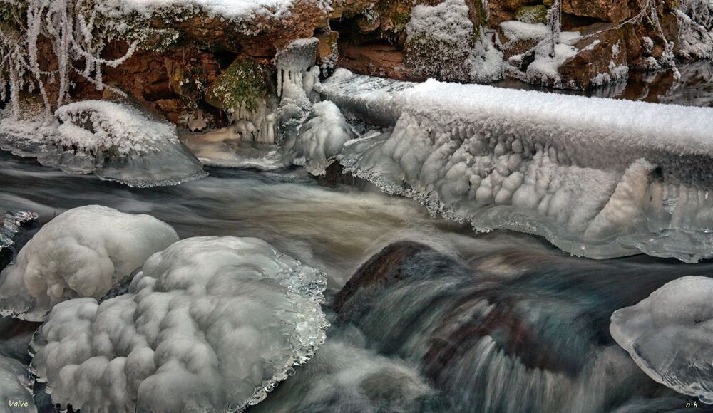 winter life