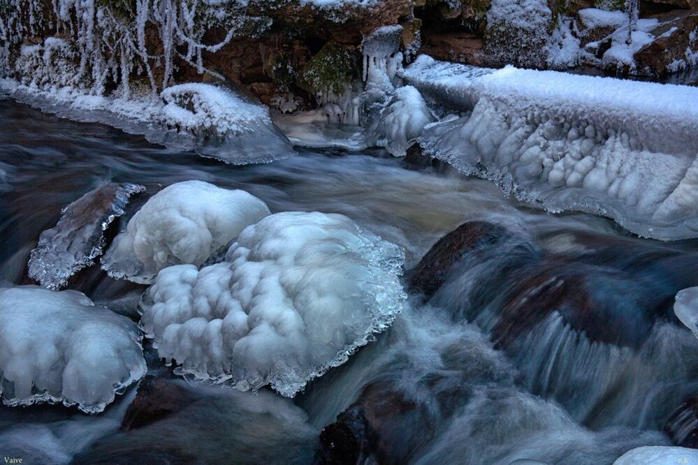 winter life