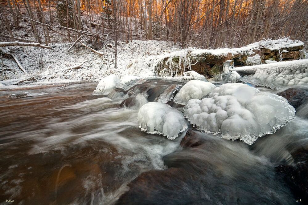 winter life