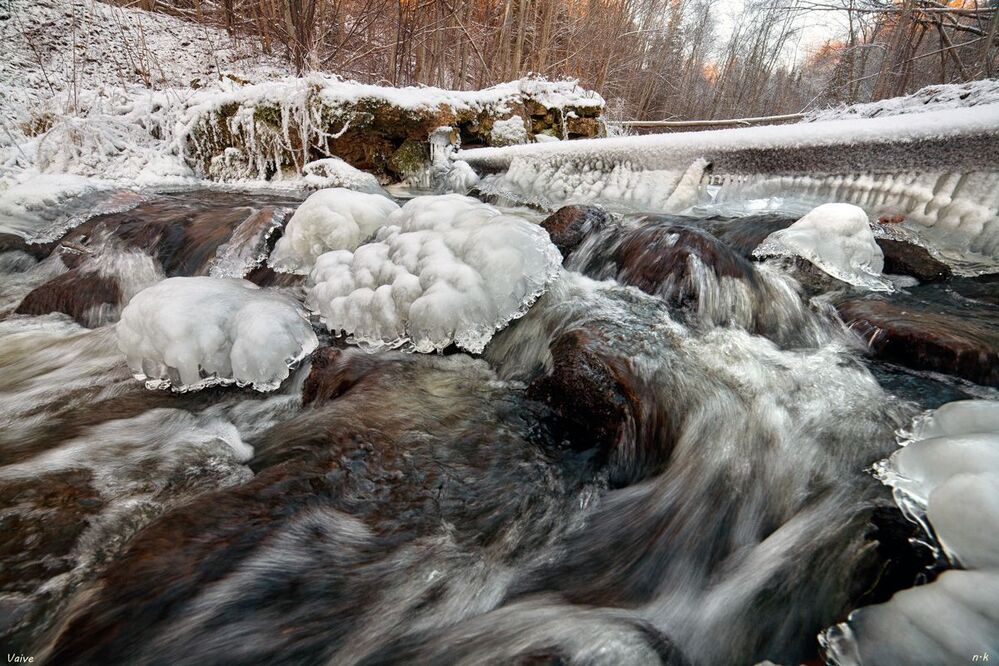 winter life