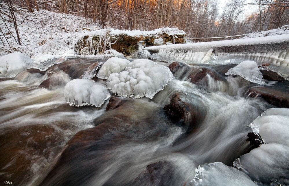 winter life