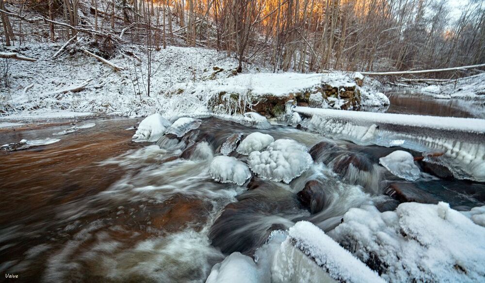 winter life