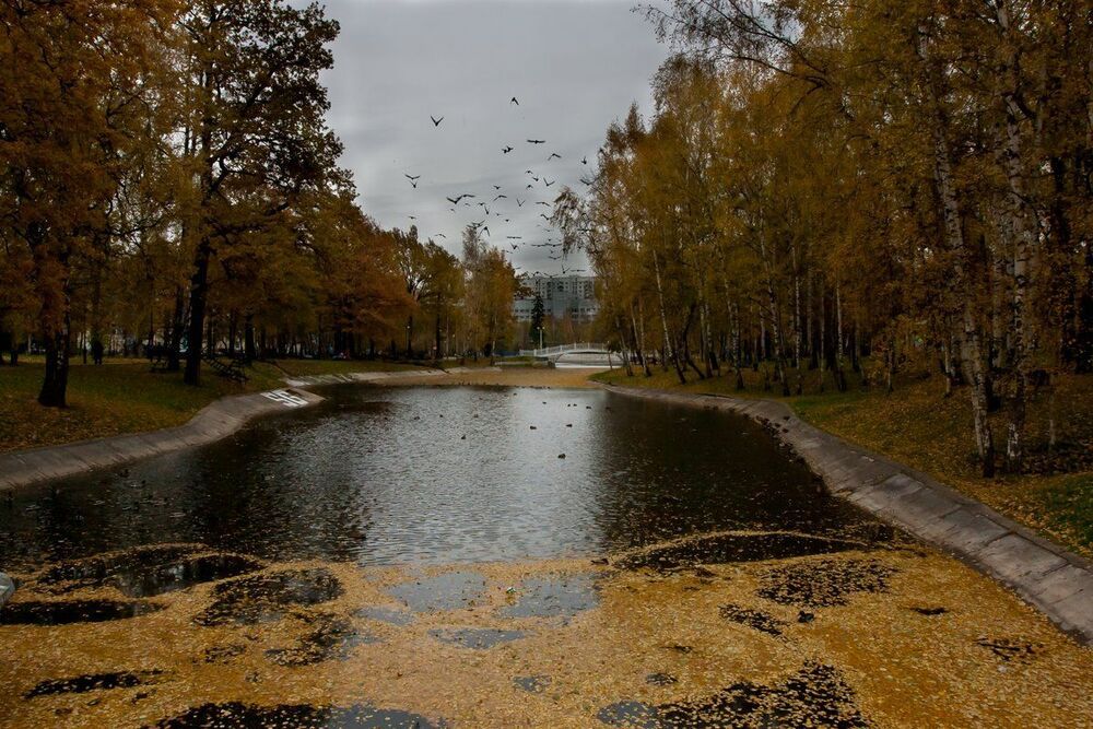 В осеннем парке городском
