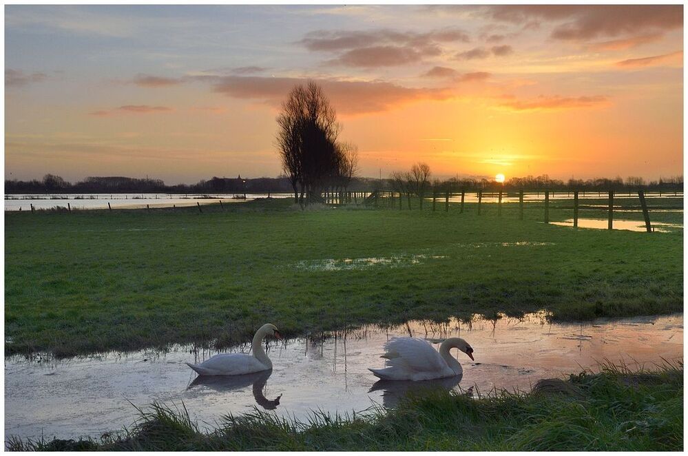 A romantic morning today.