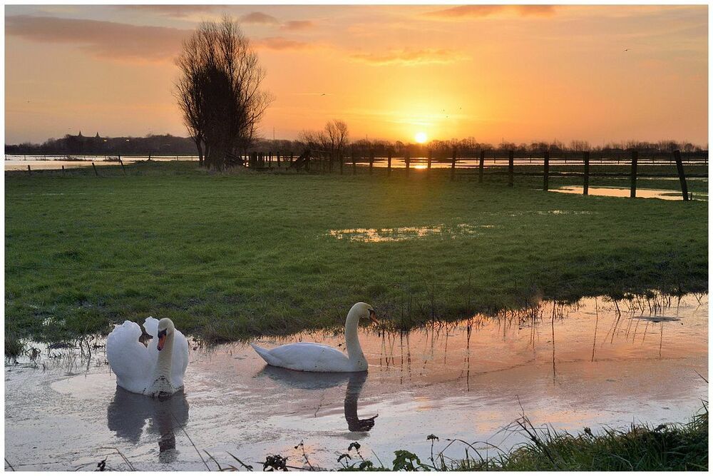 A romantic morning today.