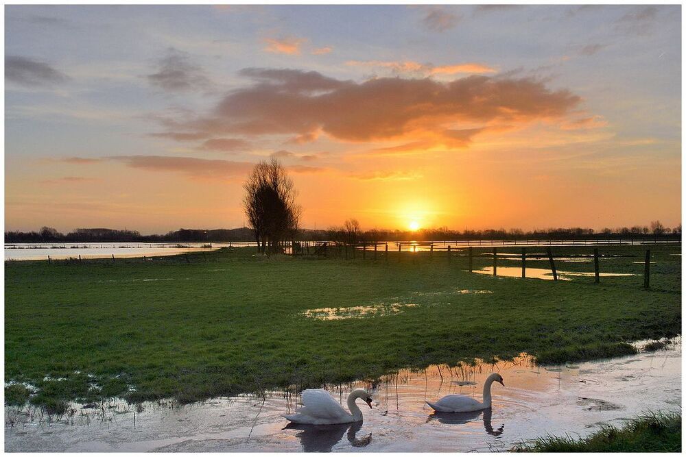 A romantic morning today.