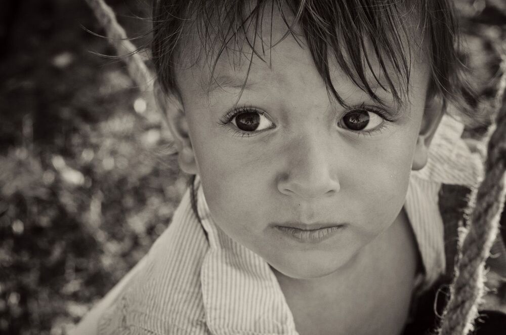 Photo 510213