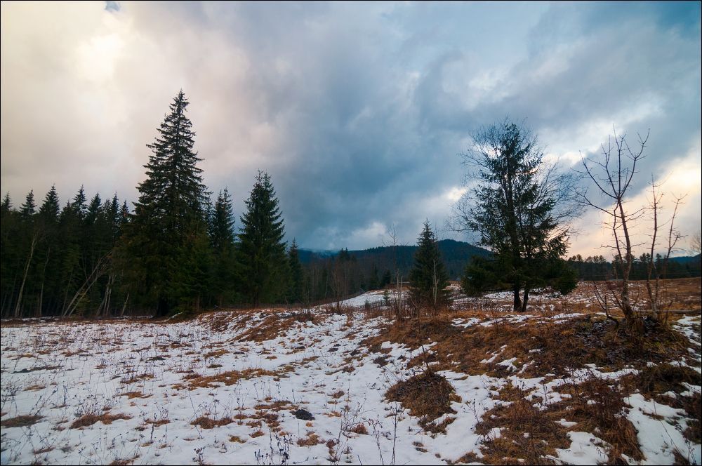 Карпатський світанок
