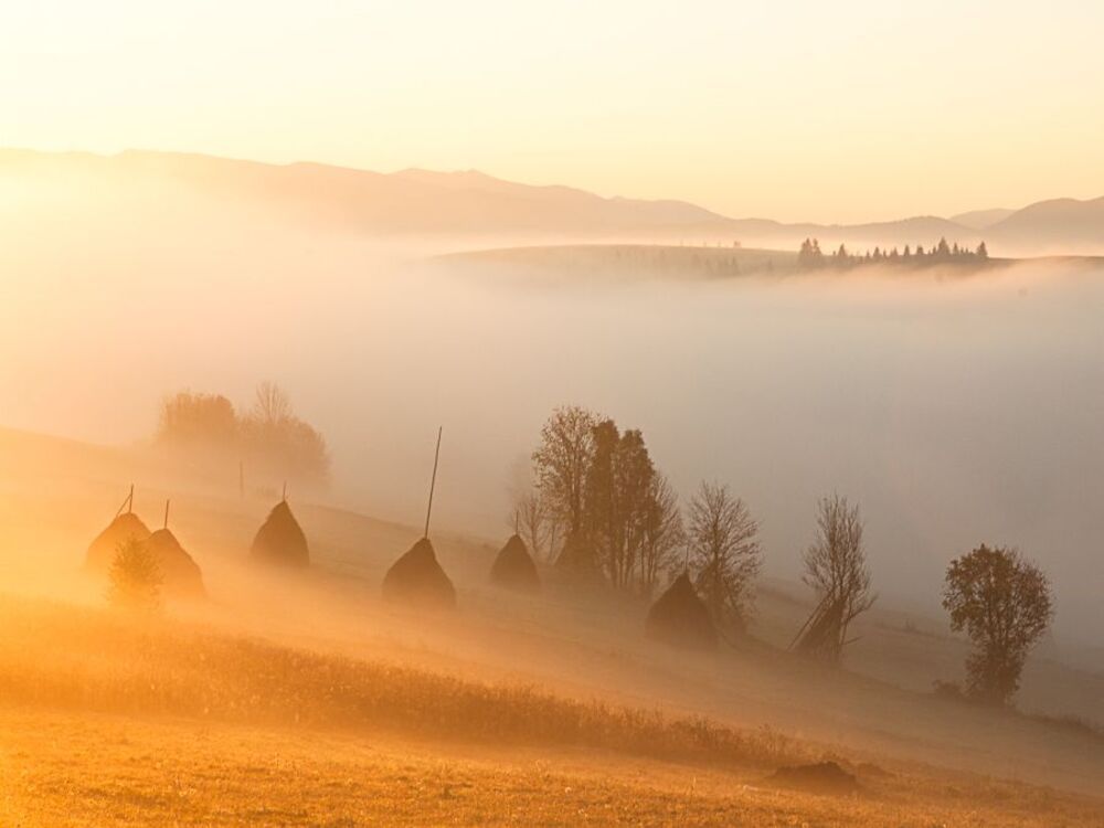 Украина, Карпаты, хребет Боржава