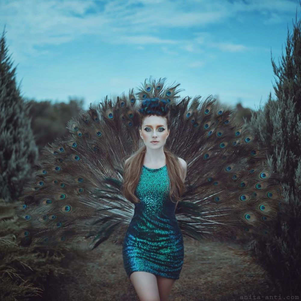 Peacock