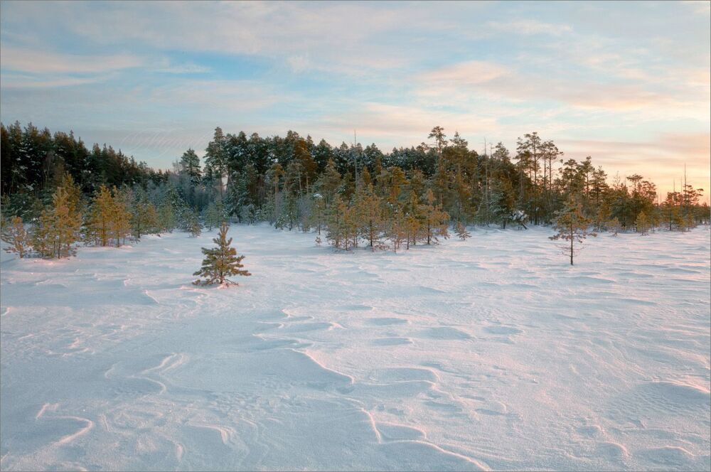 Первые лучи на снегу (-30)