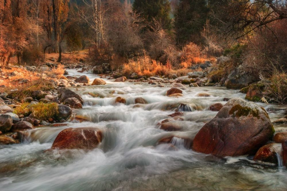 Осенняя речка