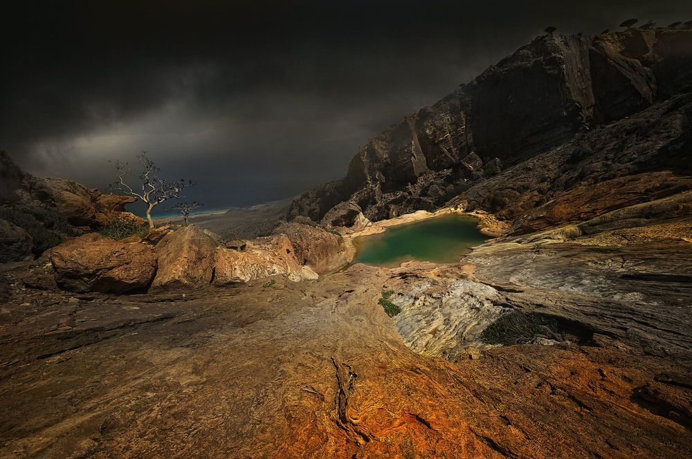 Socotra Island