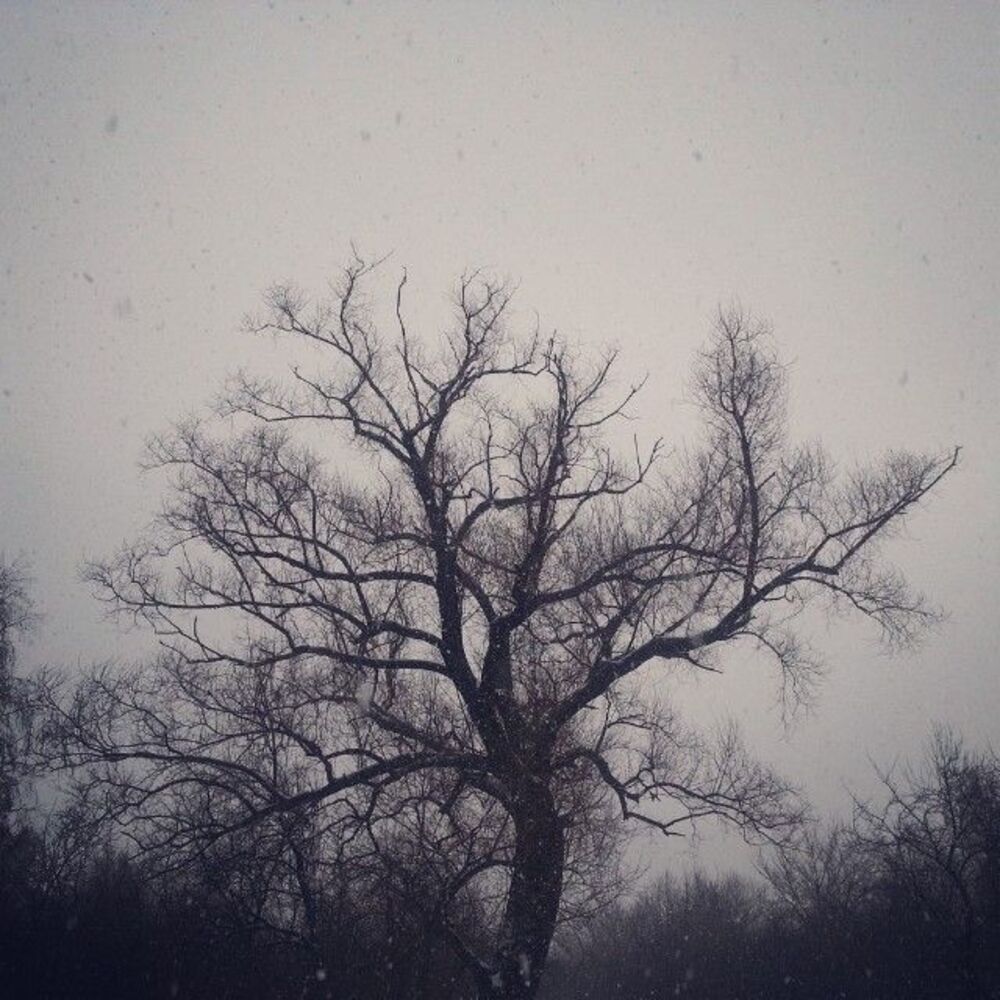 Photo 512439