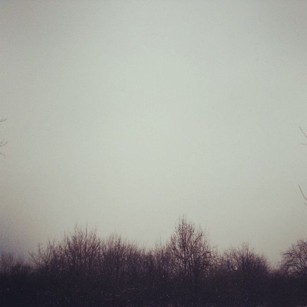 Photo 512440