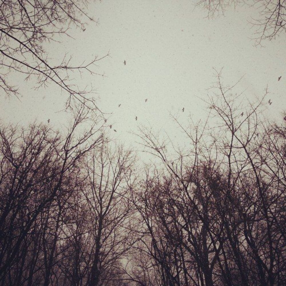 Photo 512441