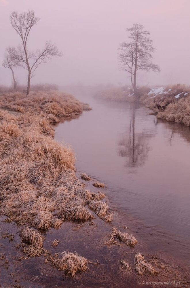 colors of the morning