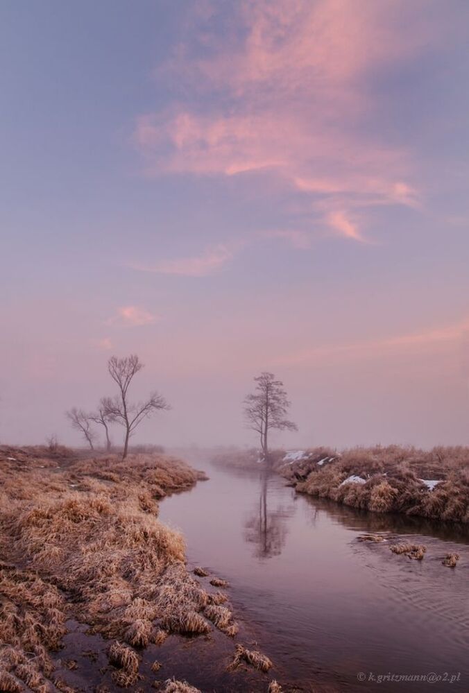 colors of the morning