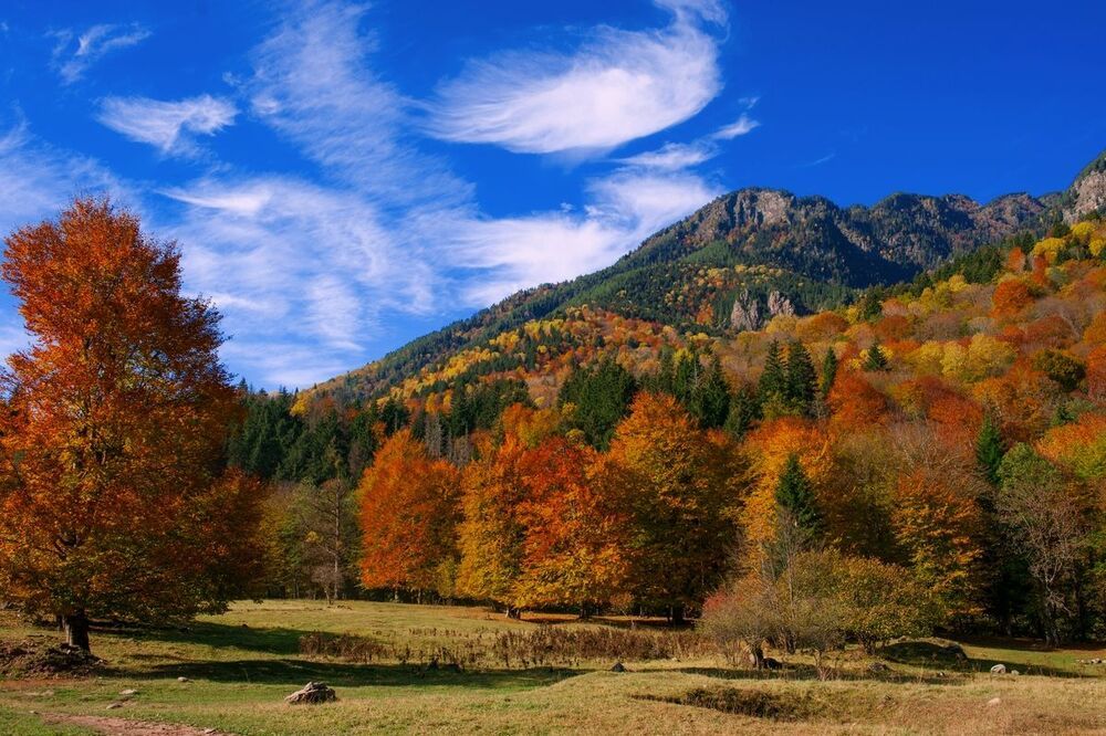 осенний Рожкао