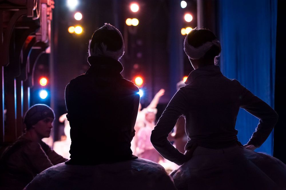 swan lake
