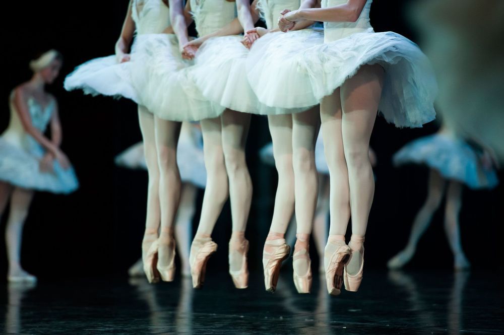 swan lake