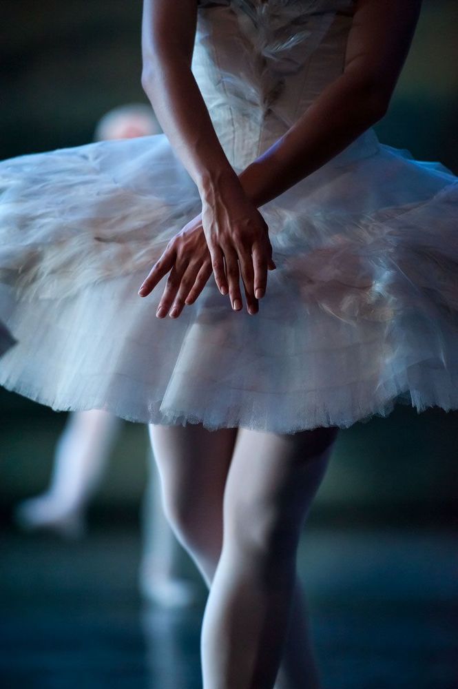 swan lake