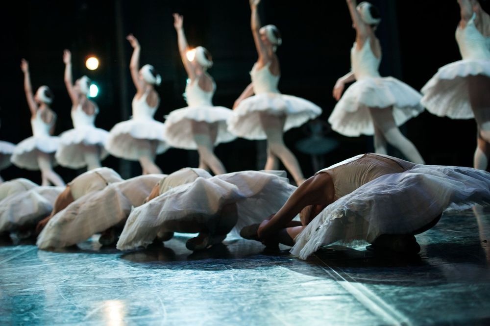 swan lake