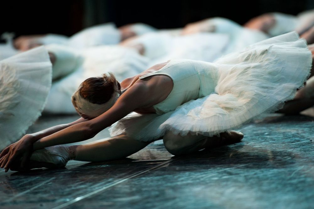 swan lake