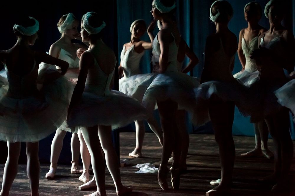 swan lake
